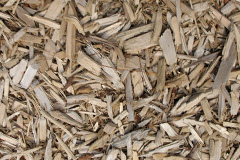 biomass boilers Tredinnick